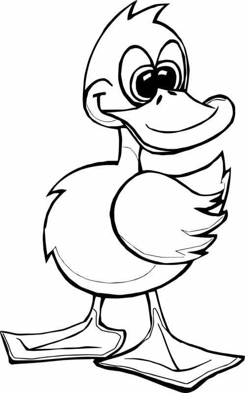 Раскраска утят муларды