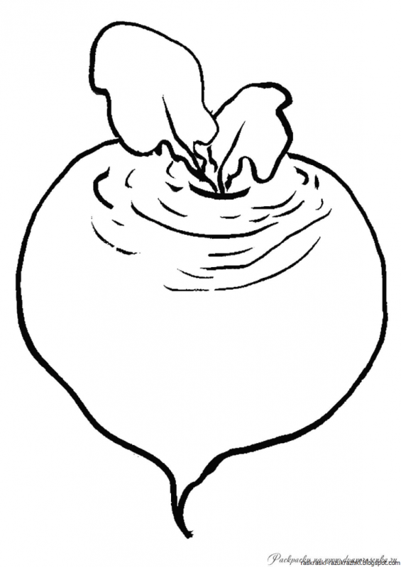 Огурец Чечель f1