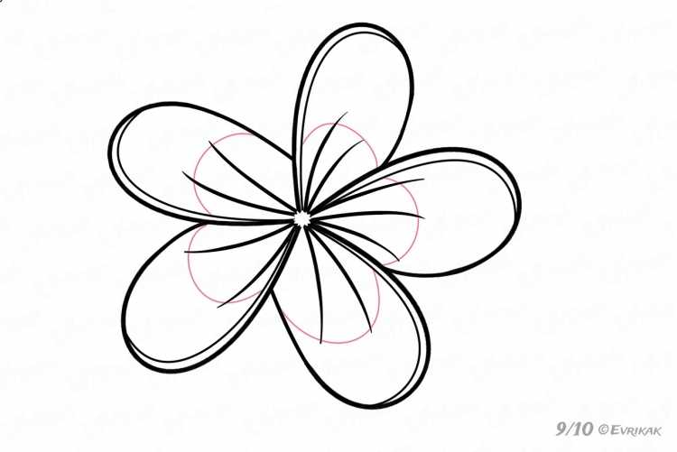 Тюльпан раскраска для детей