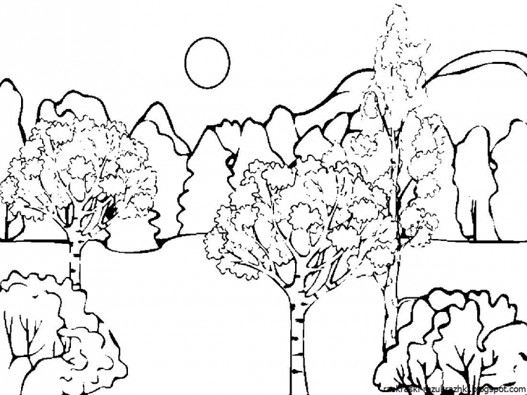 Картины для раскрашивания