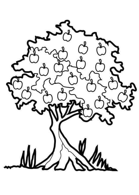 Дерево для раскрашивания