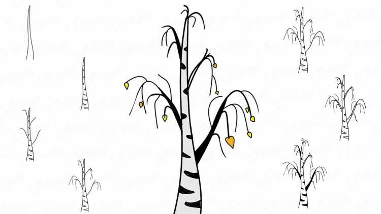 Береза раскраска