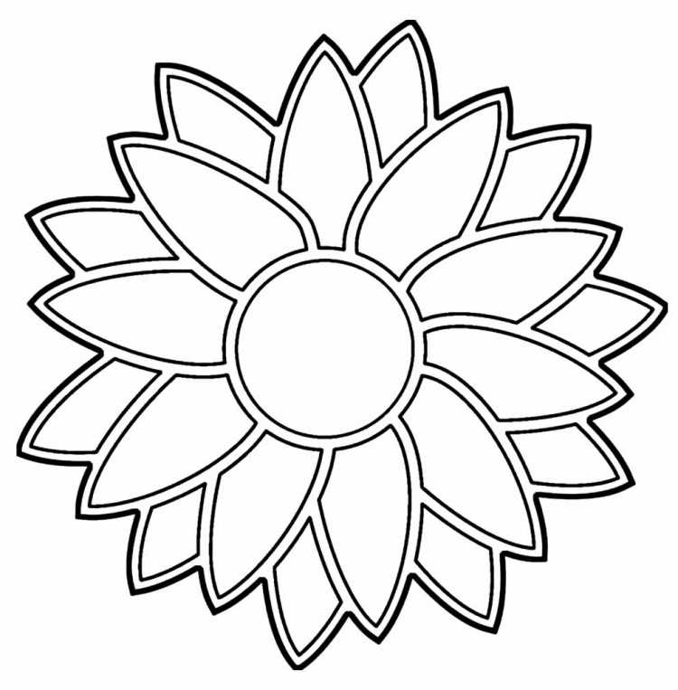 Ромашка раскраска для детей