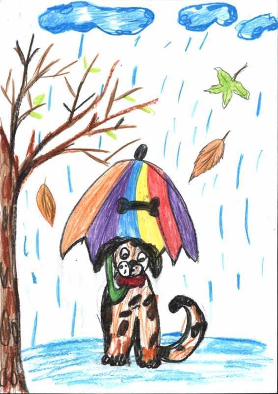 Бездомная собака фото красивое нарисовать ребенку