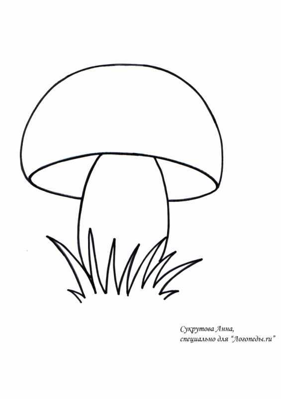 Белый гриб Боровик раскраска