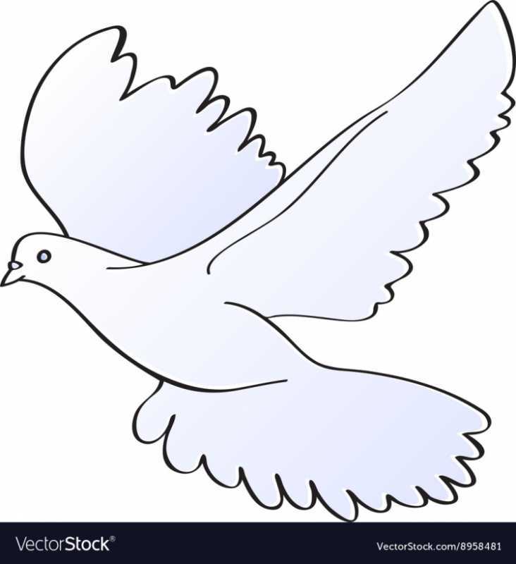 Голубь рисунок чб