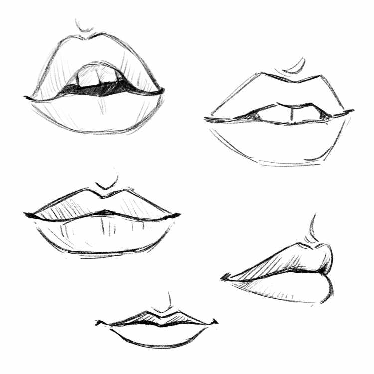 Наброски губ