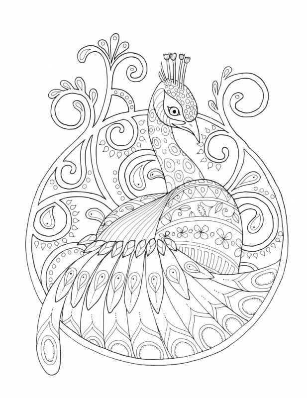 Контур павлина для раскрашивания