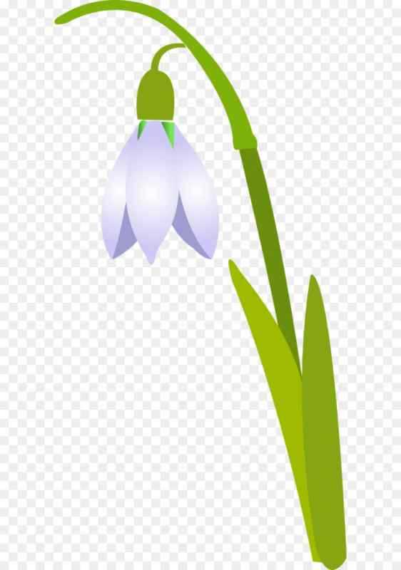 Подснежники в живописи