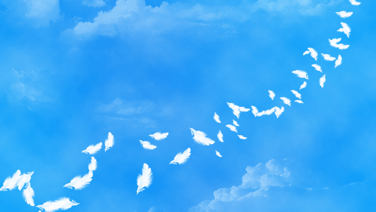 Голубь символ мира