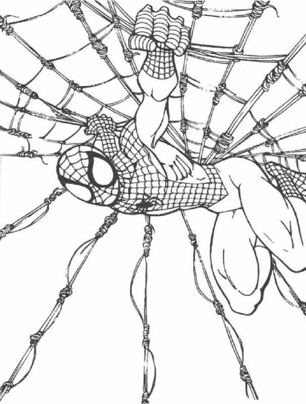 Паук раскраска для детей