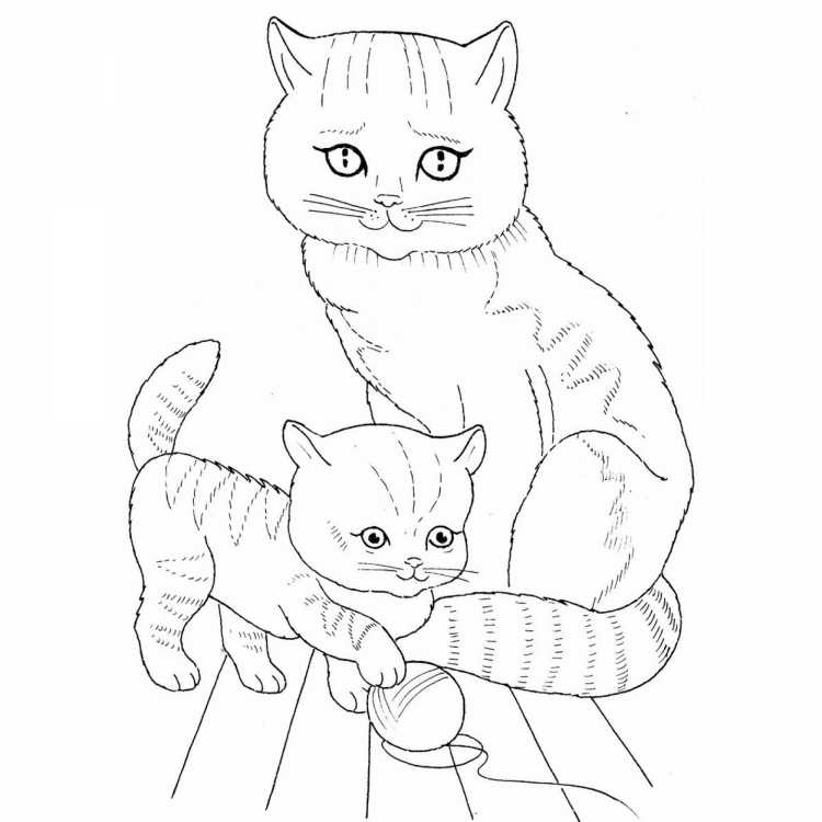 Сиамская кошка раскраска