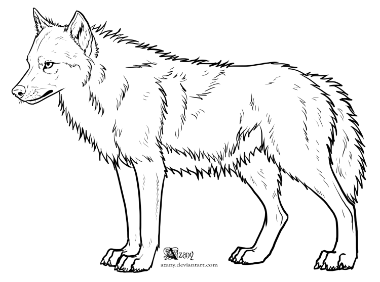 Раскраска волк
