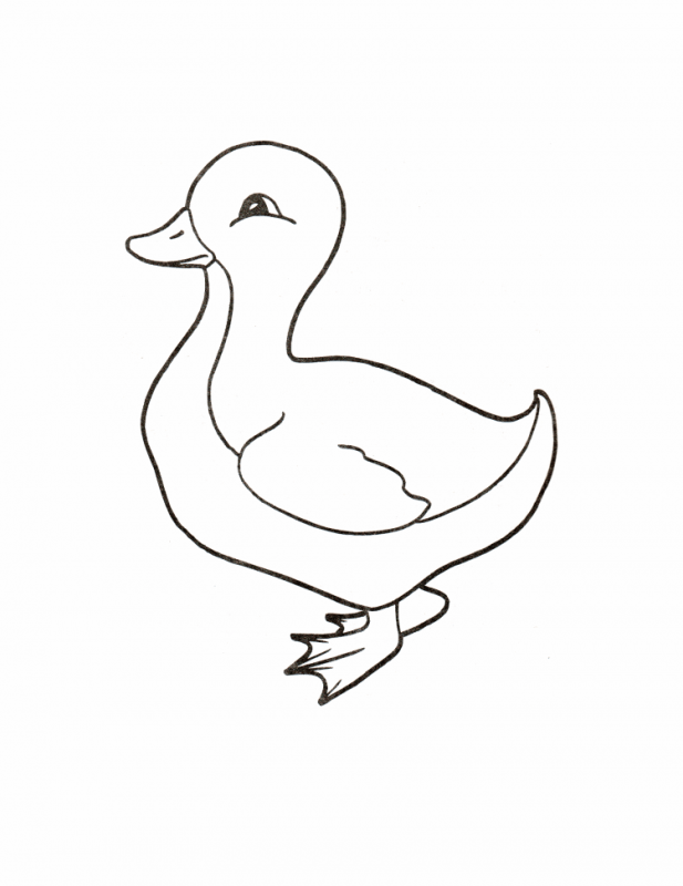Мама утка раскраска