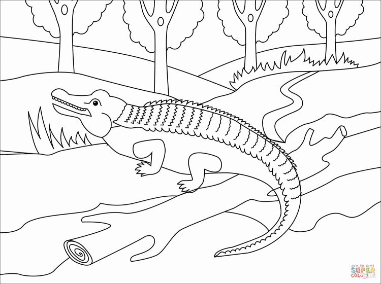Крокодил раскраска маленькая