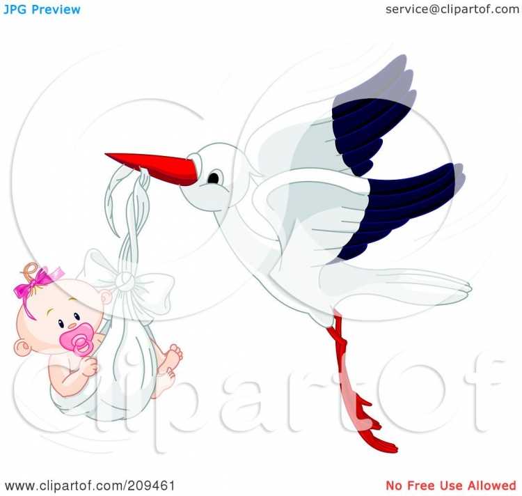 Аист с малышом