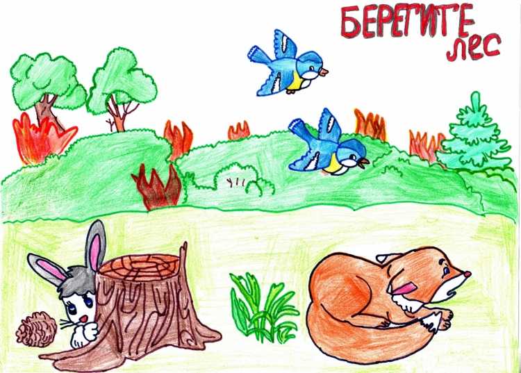 Рисунок берегите лес
