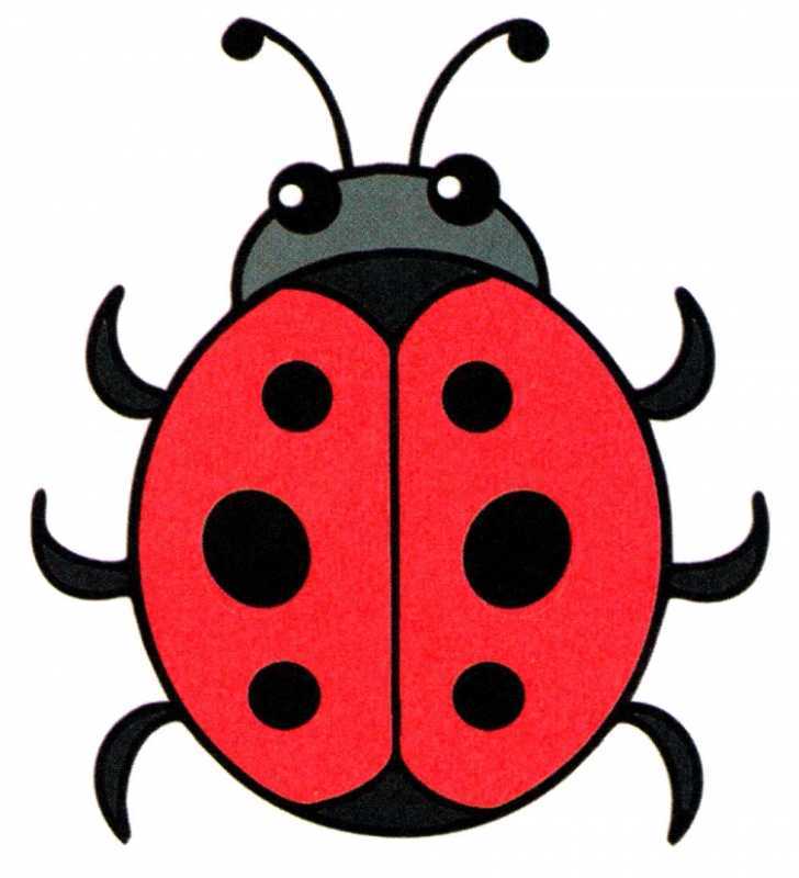 Трафарет Божьей коровки для рисования