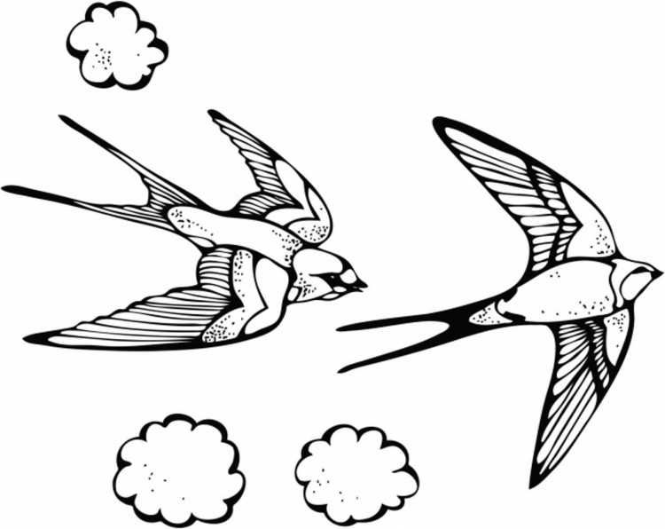 Ласточка силуэт