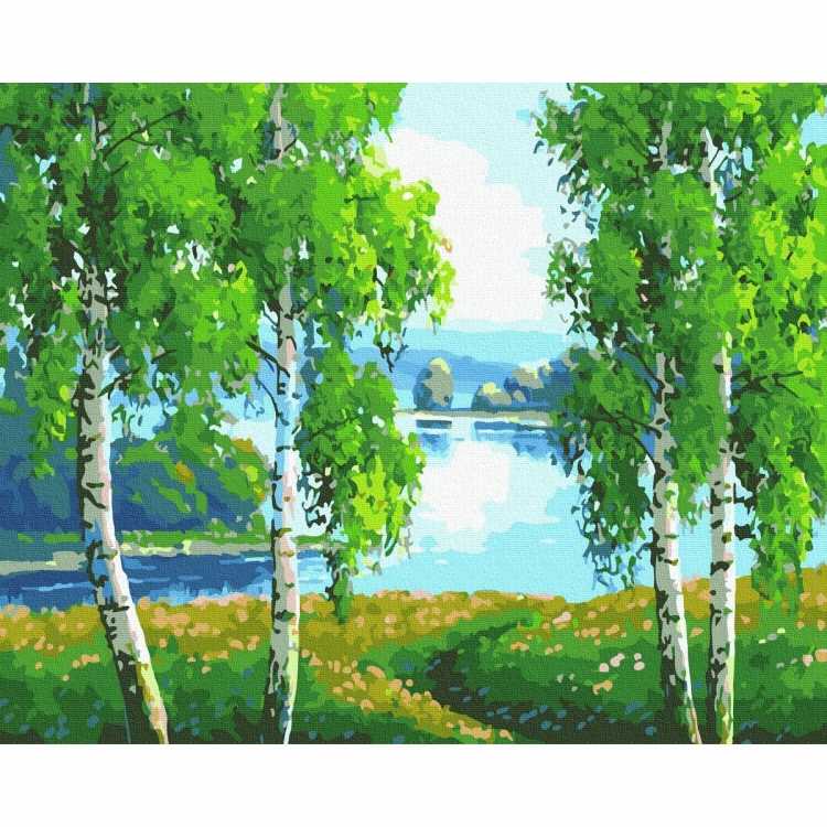 Картины по номерам Березовая роща
