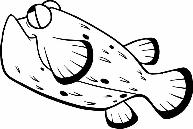 Раскраска аквариумные рыбки Скалярия