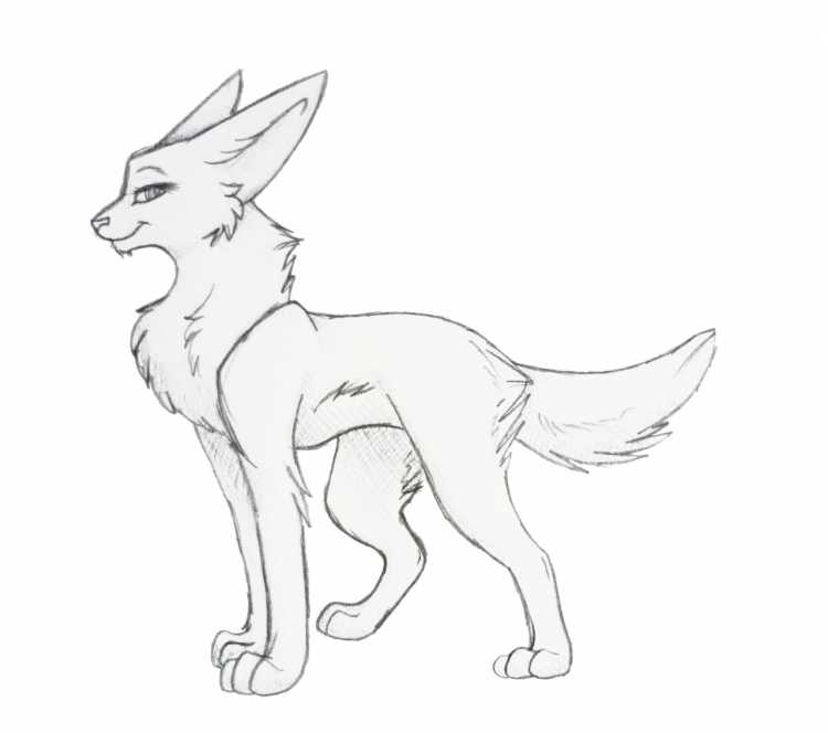 Фрилайн рыси