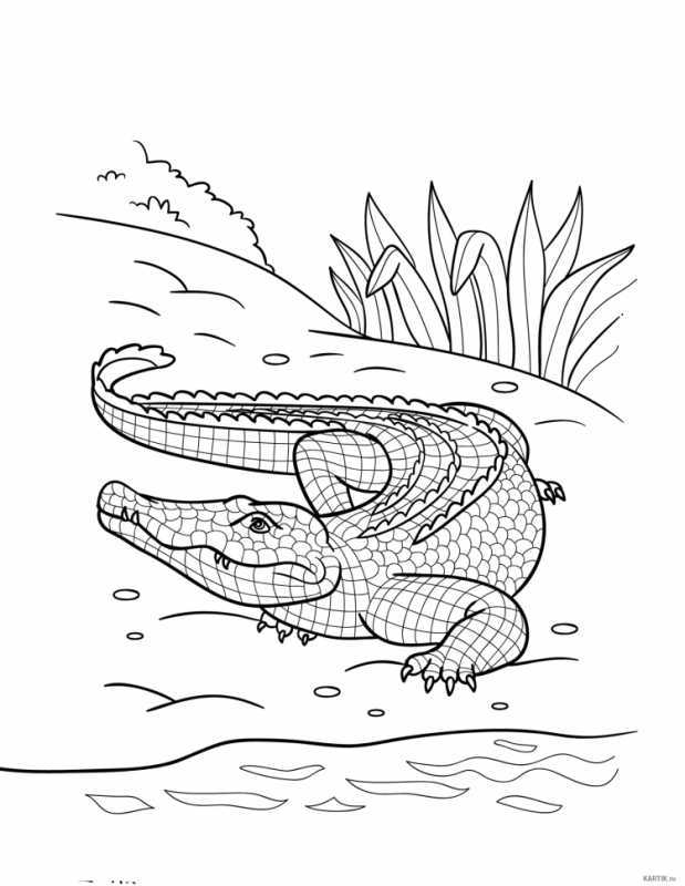 Крокодил краденое солнце раскраска
