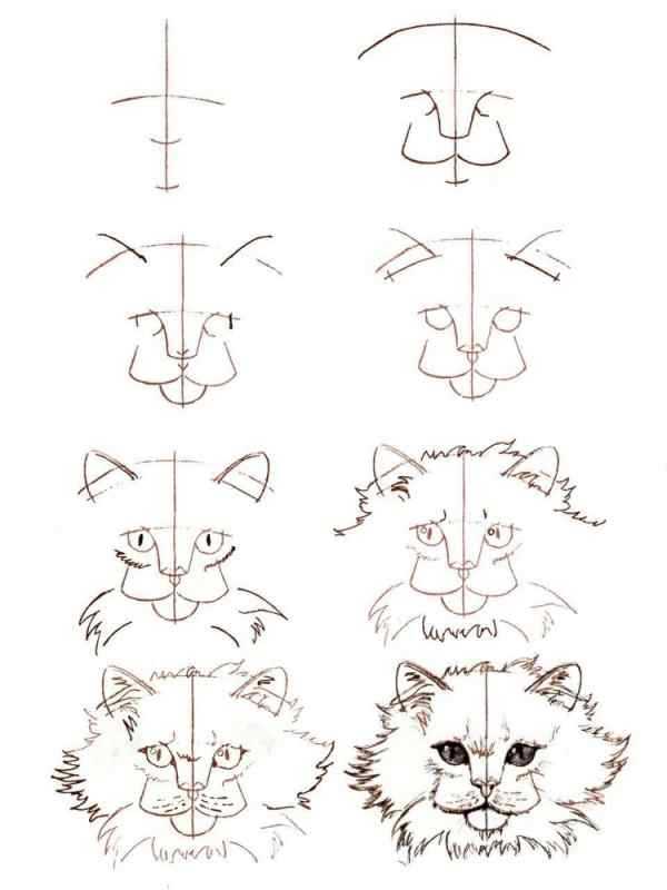 Поэтапный рисунок кота