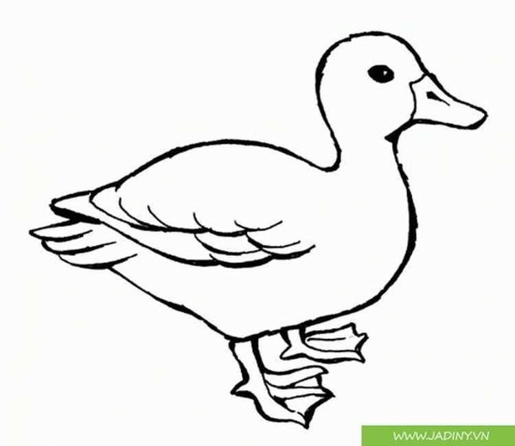Уточка раскраска