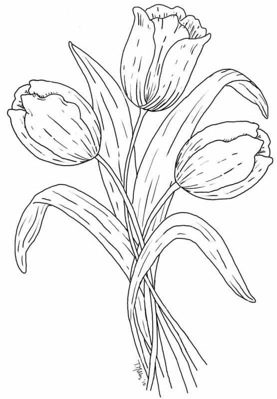Тюльпаны рисунок для детей