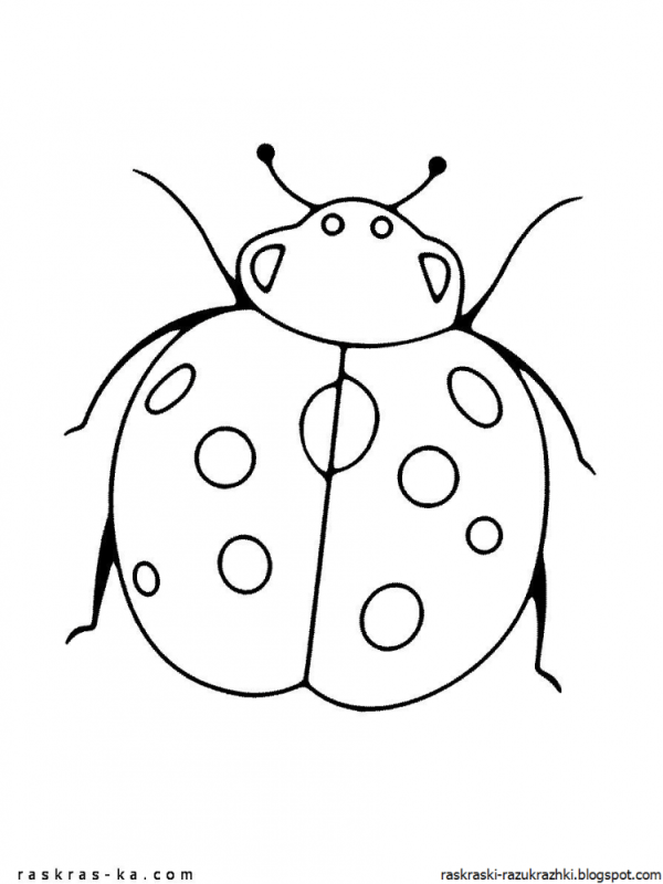 Цветы и бабочки. Раскраска