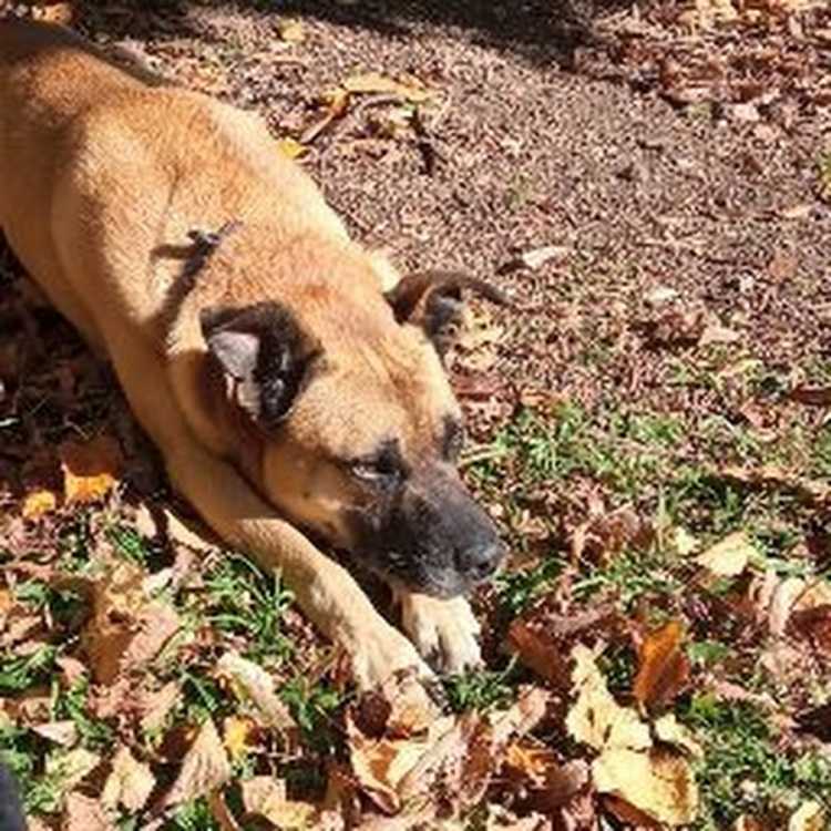 Мифические тату