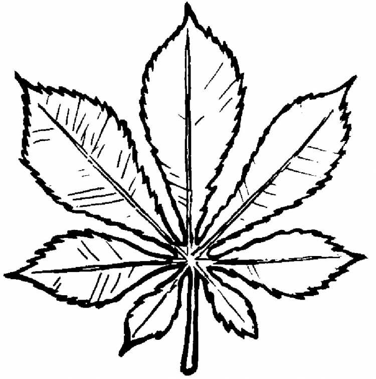 Трафарет листочка