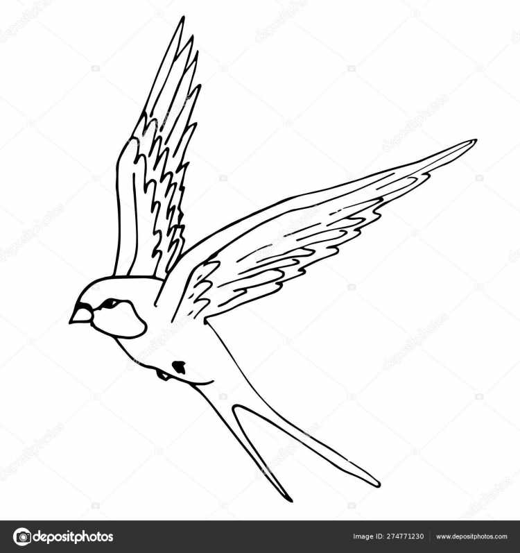 Ласточка трафарет для детей