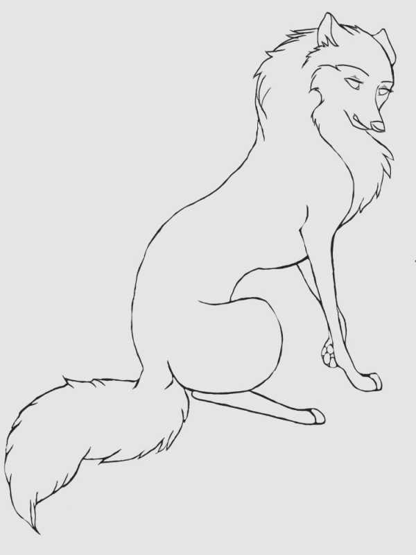 Заготовки для рисования Волков