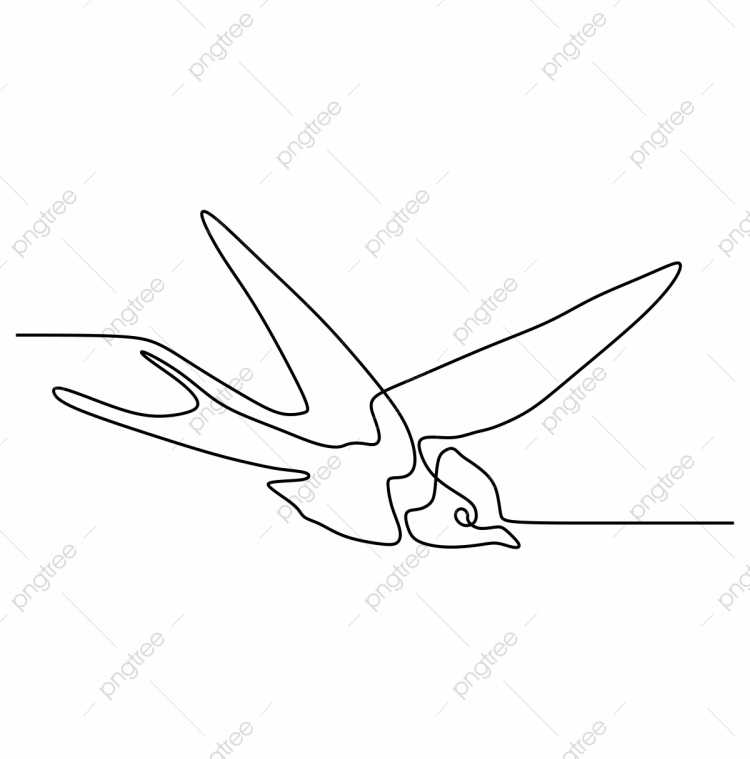 Чайка разукрашка