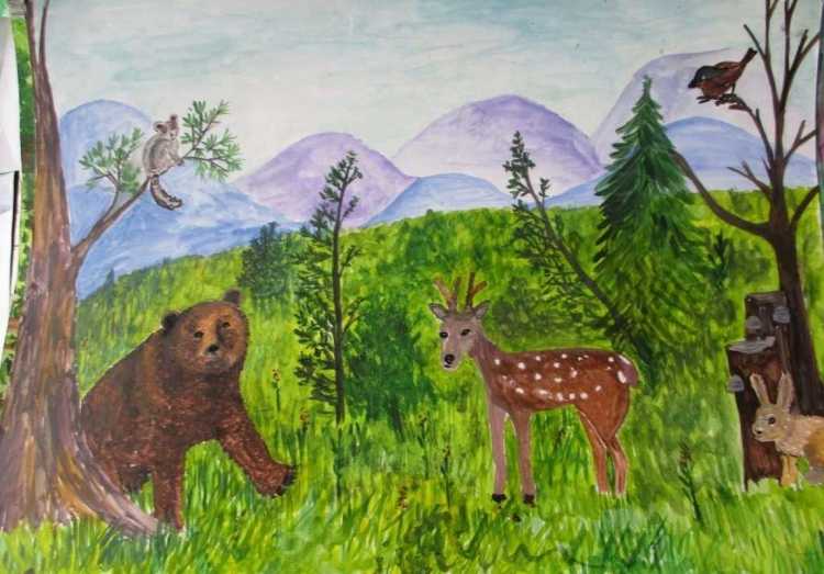 Мир заповедной природы конкурс