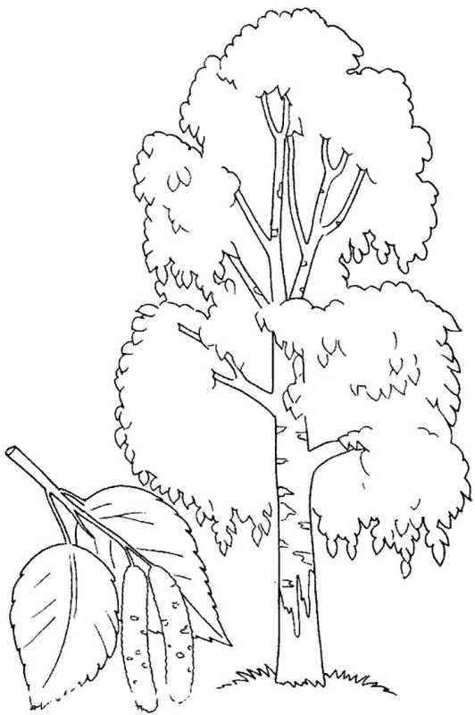 Дерево раскраска для детей