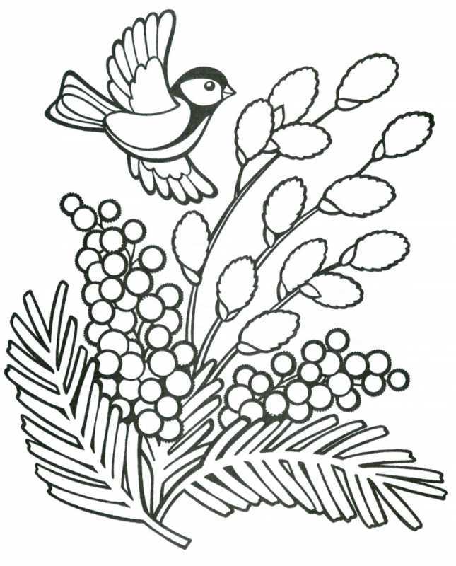 Раскраски цветов для детей