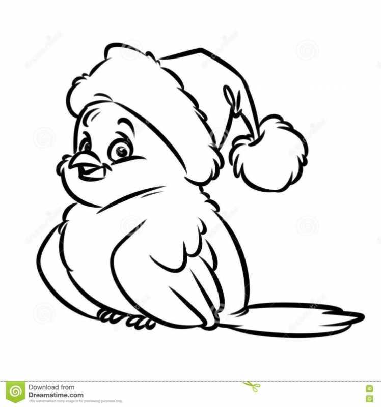 Раскраска для малышей. Птицы