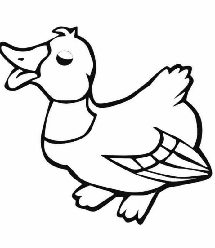 Утка раскраска для детей