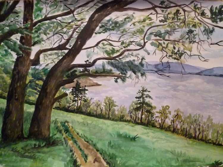 Красота родной природы акварелью