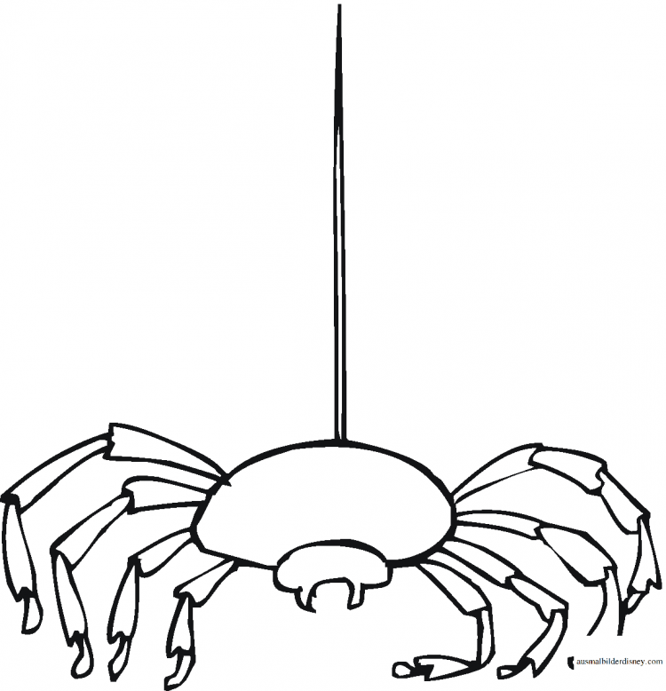 Паучок раскраска