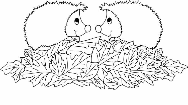 Ёжик раскраска для детей