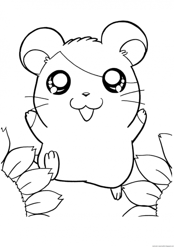 Раскраска хомячок