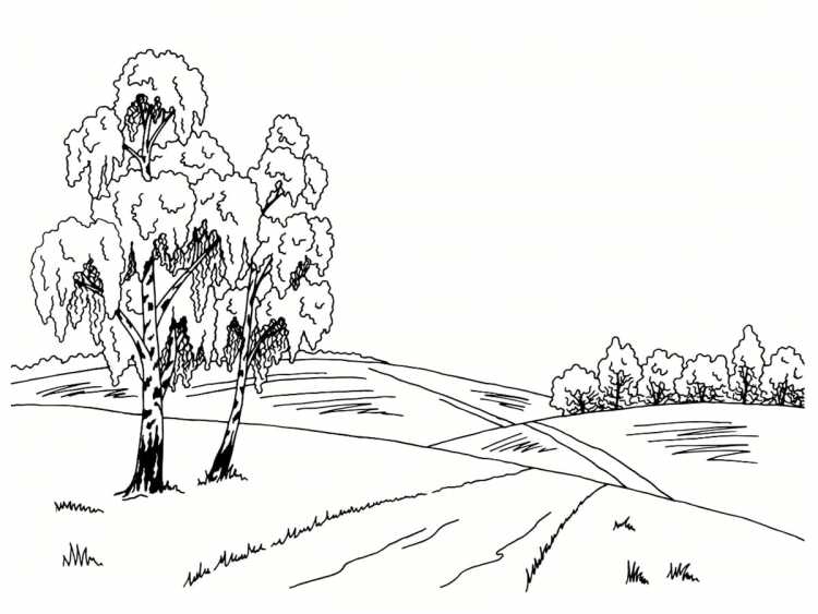 Дерево береза трафарет