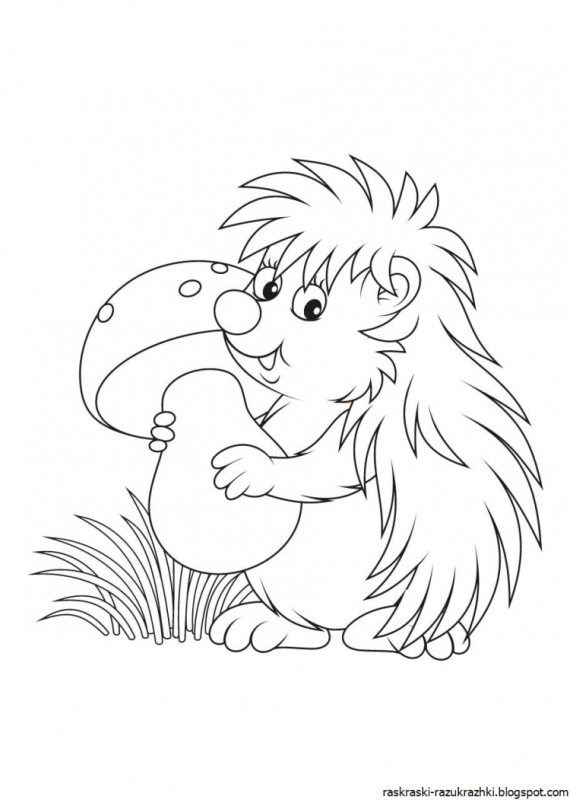 Ёжик раскраска для детей