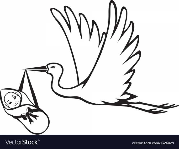 Перелетные птицы раскраска для детей Аист