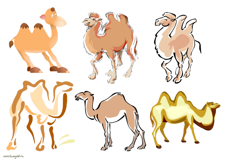 Верблюды мультяшные