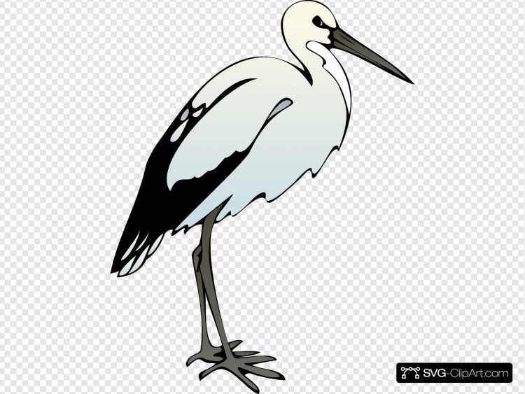 Аист с малышом